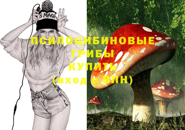 гашик Аксай