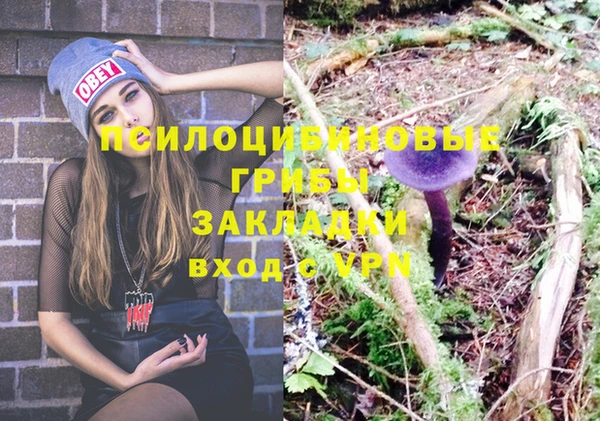 Альфа ПВП Медногорск