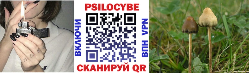 Галлюциногенные грибы Cubensis  Руза 